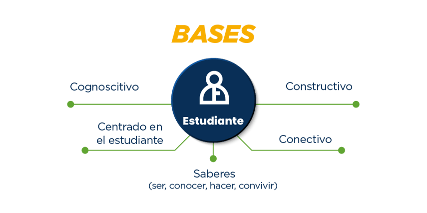infografia-10 MEC_bases-1