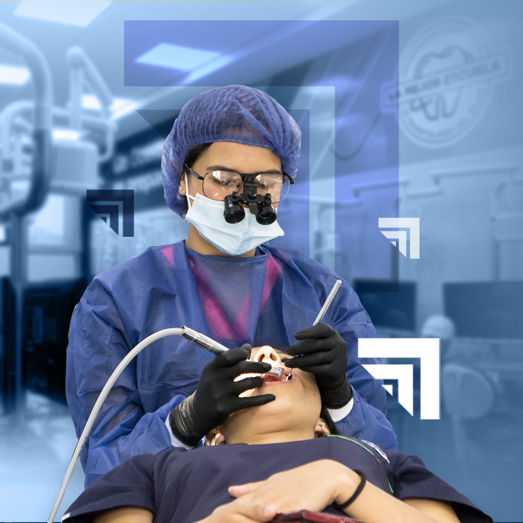 ucq cms diplomados odontologicos